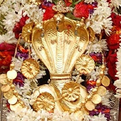 Kaal Sarp Puja Trimbakeshwar Nashik